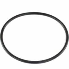 Zodiac FloPro Lid O Ring