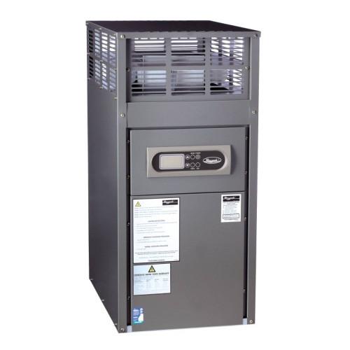Raypak Spa Gas Heater
