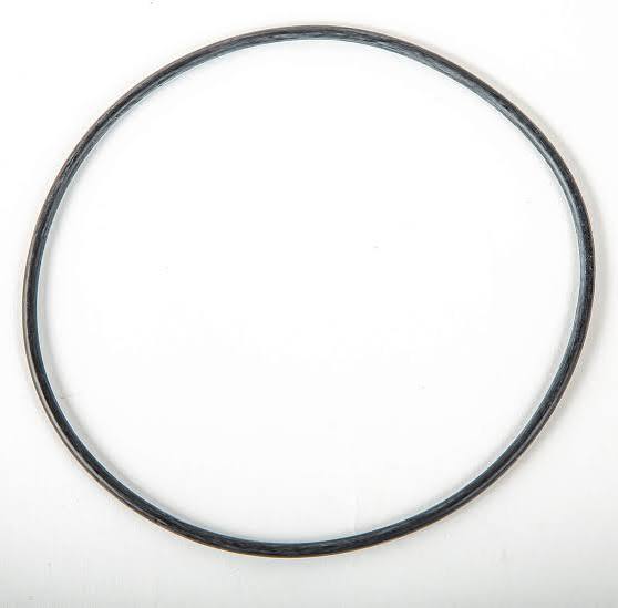 Davey Silensor Pumps Lid O Ring