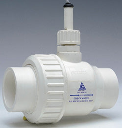 Flocheck valve