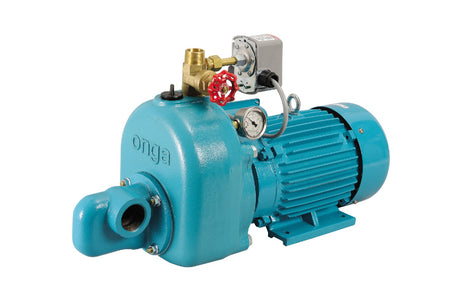 Onga JJ600 Farmmaster water pump