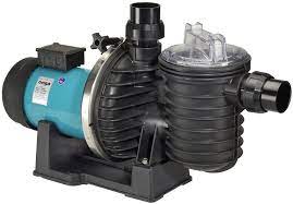Onga Seabass Series pumps