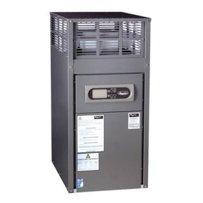 Raypak Spa Gas Heater